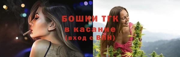 шишки Баксан