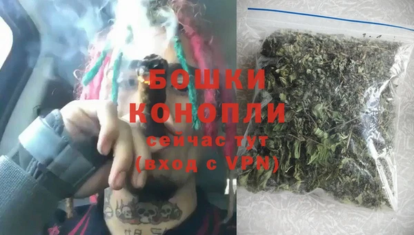 шишки Баксан
