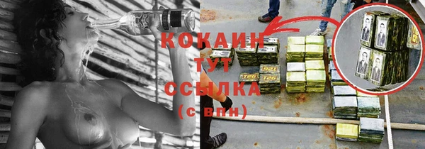 прущие грибы Гусев
